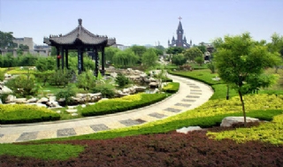 世纪公园绿化